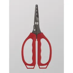 GoldenMean ゴールデンミーン GM OSシザース レッド