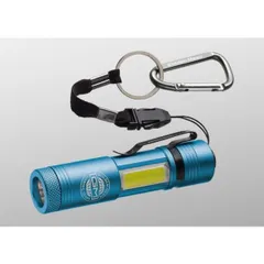 GoldenMean ゴールデンミーン GM UVライト ブルー