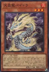 2026年最新】天盃龍 遊戯王の人気アイテム - メルカリ