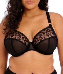 Item thumbnail for item 43400f95-b285-4f81-8be7-a053692b6f1c