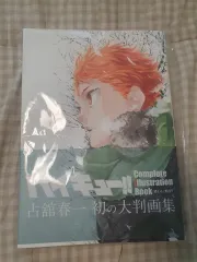 ハイキュー イラストブック 出品