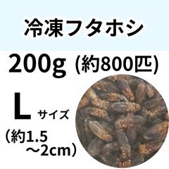 ★デュビア　爬虫類　両生類　餌用　全サイズMIX 冷凍餌】 冷凍デュビア Mixサイズ 50g (約100匹入り) 爬虫類 両生類
