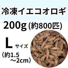 冷凍コオロギ Lサイズ 500g 爬虫類 両生類 小動物 アロワナ フトアゴ等