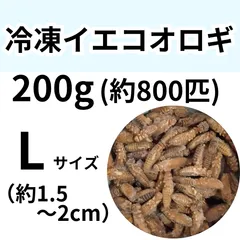 【冷凍餌】 冷凍イエコオロギ　Lサイズ　200g (約800匹入り)　　爬虫類　両生類　エサ　餌　魚類　哺乳類　レオパードゲッコー　フトアゴヒゲトカゲ　カエル　蛙　トカゲ　ヤモリ　イモリ　冷凍コオロギ