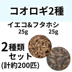 【冷凍餌】 冷凍イエコオロギ&フタホシコオロギ　Lサイズ　計50g (約200匹入り)　　爬虫類　両生類　エサ　餌　魚類　哺乳類　レオパードゲッコー　フトアゴヒゲトカゲ　カエル　蛙　トカゲ　ヤモリ　イモリ　冷凍コオロギ