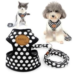 Item thumbnail for item 6abda0d7-6d25-4f9a-a860-1d09dd247144