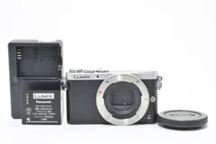 2026年最新】Panasonic LUMIX DMC-GM1の人気アイテム - メルカリ