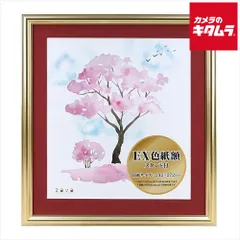 2026年最新】色紙額の人気アイテム - メルカリ