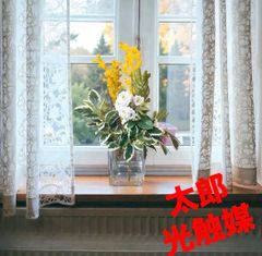 光触媒 人工観葉植物 ウォールグリーン フェイクグリーン インディアン