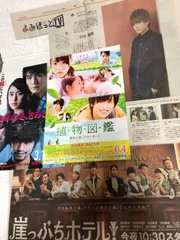 岩田剛典切り抜きフライヤー　フォトカード　三代目jsb