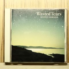 浜田省吾 CD2点 まとめ売りSHOGO HAMADA Wasted Tears - メルカリ