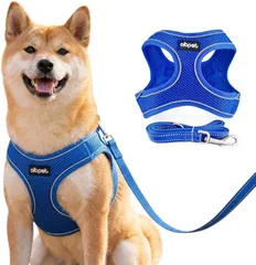 犬用ハーネス＆リードセット 超小型犬から全犬種対応 猫用ハーネス リード引っ張り防止設計 調節可能サイズ夜間反射機能 着脱簡単耐久性・通気性・柔らかメッシュ素材採用(blue, M-L)