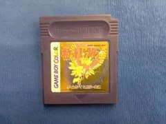 【※箱説なし※】ポケットモンスター(金)