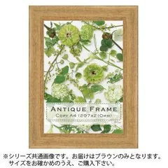アンティークフレーム平型40 ブラウン A4(211×298)