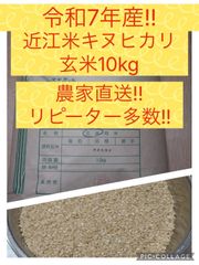 ◇栽培期間中無農薬◇令和7年収穫 ◇滋賀県産キヌヒカリ、玄米10㎏在庫