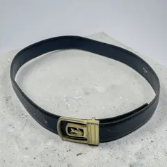 2026年最新】チェーンベルト セリーヌの人気アイテム - メルカリ