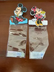 ディズニーランド ディズニー パスケース  ミッキー ミニー