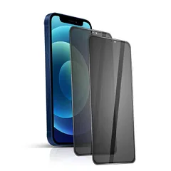 iphone12 強化ガラスフィルム 覗き見防止 プライバシー保護フィルム【2枚セット】硬度9H/気泡ゼロ/干渉しない/貼り付け簡単/指紋防止/撥水撥油 iphone12pro 全面保護 フィルム