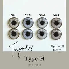 【Type-H】　ブライスアイ　ブライスアイチップ