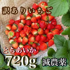 4KG 新鮮いちご 朝採り 箱入り B品 ジャム 加工 とちあいか ① - メルカリ