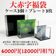五藤めだか】選別特化AB品(グレー) メダカ用 ケース 撮影 横見 - メルカリ