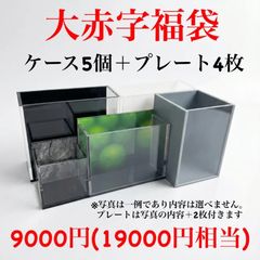 五藤めだか】選別特化AB品(グレー) メダカ用 ケース 撮影 横見 - メルカリ