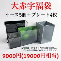 【数量限定】9000円福袋！選別ケース5個＋プレート4枚(AB〜B品)