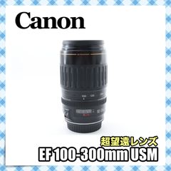TAMRON 100-300mm 望遠レンズ Canon用 - メルカリ
