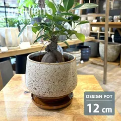 新品 植木鉢 おしゃれ 陶器鉢 アラル ポット MM040-120 4号(12cm) 鉢底穴有り 受け皿付き 丸型 モダン 和テイスト