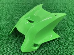 NINJA250R 08〜12年 アイラインカウル カワサキ バイク カスタム