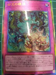 ポリゴンZ 070 SM-P しょきか プロモ 光を喰らう闇 - メルカリ