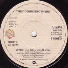 7” Doobie Brothers What A Fool Believes / Dont Stop To Watch The Wheel K17314 WARNER BROS /00080