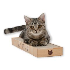 Item thumbnail for item cf5b8a97-cda4-4edd-94ce-80d948bb0f4c