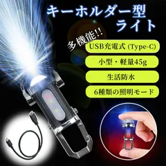 2025新商品 キーホルダー型ライト LED COB 超高輝度 キーチェーンライト 懐中電灯 USB充電式 TypeC対応 コンパクト 防水 強力 小型 軽量 携帯便利 防災 停電対策 作業灯 アウトドア キャンプ 釣り 登山 夜間照明 多機能 フック付き 日