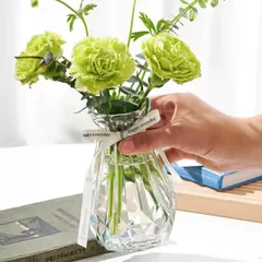 【特価セール】花瓶 ガラス おしゃれ 花瓶 一輪挿し シンプル花器 透明 フラワーベース 装飾家の装飾 高さ15CM