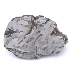 2026年最新】石鉄隕石の人気アイテム - メルカリ