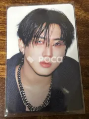 straykids チャンビン スキズ KARMA SKZOO Ver.