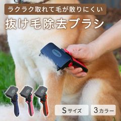 Item thumbnail for item 9d5ab217-3552-4d2f-a8b7-5e1d596ea49f