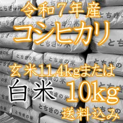 白米10kg◇令和７年産コシヒカリ10キロ◇栃木県産銘柄米のサムネイル