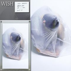 Item thumbnail for item 12232466-c272-49ac-b21f-2b4a4e850114