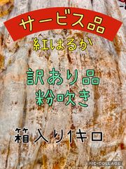 欲しい〜芋専門YA プロフ必読み！！ - メルカリShops