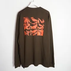 新品 国内正規 25AW ARC'TERYX アークテリクス Kragg SL Cotton Bird Tile LS クラッグ 長袖Tシャツ カットソー ロンT 本物 L 茶695Q♪