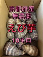 農薬不使用 京都産里芋 親芋 10kg ほくほく美味しい - メルカリ