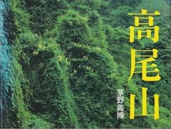 カオスの星屑 黒岩重吾 文藝春秋 1981年 KU0224 - メルカリ