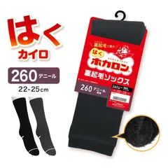 レディース クルーソックス 裏起毛 靴下 ソックス クルー丈 ホカロン あたたかい あったかい 防寒 260デニール相当 22-25cm 暖かい 保温 アツギ 黒 atsugi 冬 秋 寒さ対策 (在庫限り)