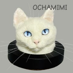 穴から覗く白猫さん ネコ 猫 ねこ ハンドメイド 羊毛フェルト リアル