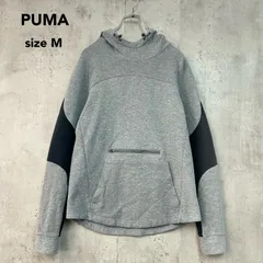 美品 PUMA プーマ スウェットパーカー EVOSTRIPE エボストライプ フーデッド プルオーバー トレーナー グレー 切替 デザイン スポーツウェア トレーニングウェア ランニング ウェア 吸汗速乾 581094-03 希少 ★ ◆■