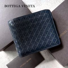 極美品 BOTTEGA VENETA ボッテガヴェネタ イントレチャート パイソン