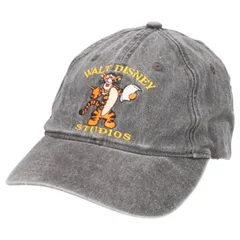 古着 THE Disney STORE POOH くまのプーさん ティガー ベースボールキャップ フリーサイズ相当/gaa007126