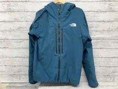 THE NORTH FACE/ザノースフェイス/ナイロン/SUMMIT SERIES/ブルー/サイズL/状態C